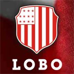 lobo-perfil